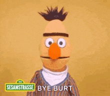 Bert Sesame Street GIF