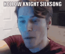 jerma onion ring hollow knight silksong