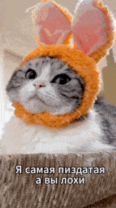 a cat wearing bunny ears and a hat with russian writing