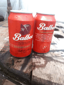 two cans of balboa beer are on a wooden table