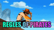 Reglement Des Pirates One Piece GIF