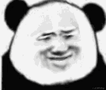 Panda Silly GIF - Panda Silly Meh GIFs