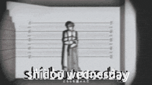 Shidou Shidou Milgram GIF - Shidou Shidou Milgram Shidou Wednesday GIFs