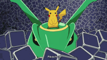 Rayquaza Pikachu GIF