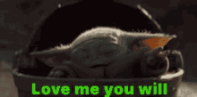 You Will Love Me Baby Yoda GIF