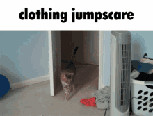 Cat Jumpscare GIF - Cat Jumpscare GIFs