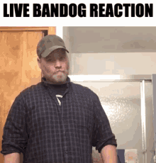 Bandog Live Reaction GIF - Bandog Live Reaction Live Bandog Reaction GIFs