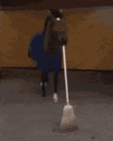 Horse Funny GIF