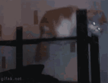 You’ve Been Hit By- You’ve Been Struck By A Smooth Criminal GIF - GIFs