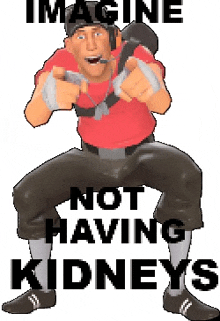 a pixel art of a soldier with the words imagine not having kidneys written on it