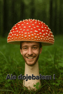 a picture of a mushroom with a man 's face on it and the words ale dojebatem below it