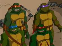 tmnt 2003 ninja turtles leo raph