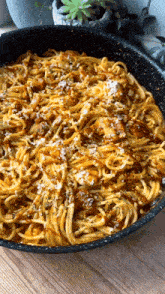 Spaghetti Pasta GIF