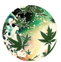 Weed Pot Sticker - Weed Pot Cannabis Stickers