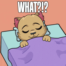 a cartoon of a cat sleeping under a purple blanket with the word what written above it