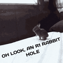 Rabbit R1 GIF
