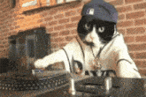 Cool Cat Hiphop Cat GIF - Cool Cat Hiphop Cat Gangster Cat GIFs