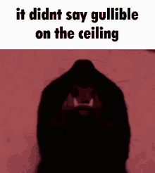It Says Gullible On The Ceiling It Didnt Say Gullible On The Ceiling GIF - It Says Gullible On The Ceiling It Didnt Say Gullible On The Ceiling Cat GIFs