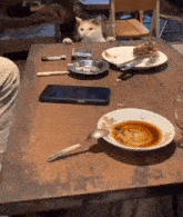 Cat Food GIF - Cat Food Reach GIFs