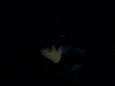 a blurry picture of a person 's face with their hands in front of it