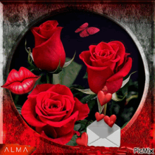 Buenos Dias Roses GIF - Buenos Dias Roses Flowers GIFs