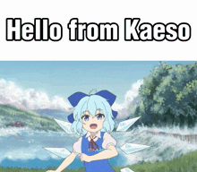 Hello Kaeso GIF - Hello Kaeso Cirno GIFs