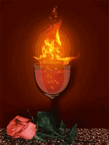glass red rose flames