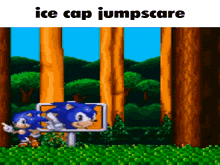 Sonic Jumpscare GIF - Sonic Jumpscare GIFs