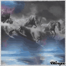 Blue Wave GIF - Blue Wave Horses GIFs