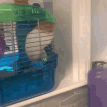 Help Escape GIF - Help Escape Hamster GIFs
