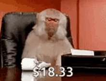 Monkey Calculate GIF - Monkey Calculate Silly GIFs