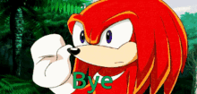 Knuckles The Echidna Adios GIF - Knuckles The Echidna Adios GIFs