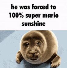Seal Cry GIF - Seal Cry Super Mario Sunshine GIFs