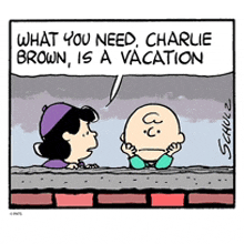 Peanuts Charlie Brown GIF - Peanuts Charlie Brown Peanuts Lucy GIFs
