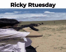 Ricky Tuesday Ricky Rtuesday GIF - Ricky Tuesday Ricky Rtuesday Ricky GIFs