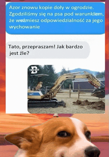 a picture of a dog next to a text that says " tato przepraszam jak bardzo jest zle "