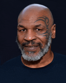 Mike Tyson Boxing GIF - Mike Tyson Boxing Lisp GIFs