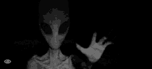 Alien Scary GIF - Alien Scary Creepy GIFs