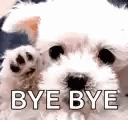 Good Bye Bye GIF - Good Bye Bye Dog GIFs
