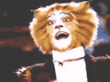 Cats The Musical GIF - Cats The Musical GIFs