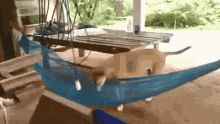 Dogs Chill Out GIF - Dogs Chill Out Hammock GIFs