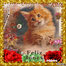 a picture of a cat with the words feliz lunes