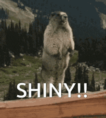 a ground squirrel standing on its hind legs with the words shiny written on the bottom