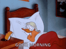 Donald Duck Good Morning GIF - Donald Duck Good Morning Wake Up GIFs