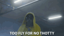 Too Fly For No Thotty Too Cool GIF - Too Fly For No Thotty Too Cool Swag GIFs