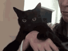 Black Cat Meow GIF - Black Cat Cat Meow GIFs