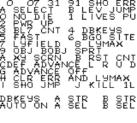 a screen shot of a video game with a lot of letters and numbers on it
