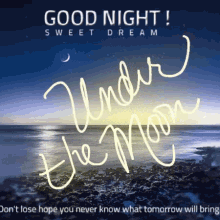 Good Night Bed GIF - Good Night Bed Time GIFs