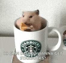 Hamster Eat GIF - Hamster Eat Cup GIFs