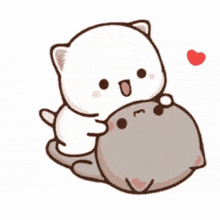 a white cat is hugging a gray cat with a red heart in the background .